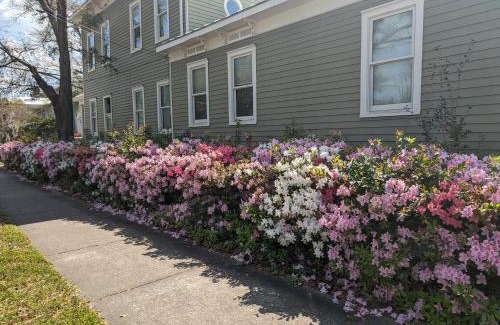 Wilmington Historic District House | The Craft House