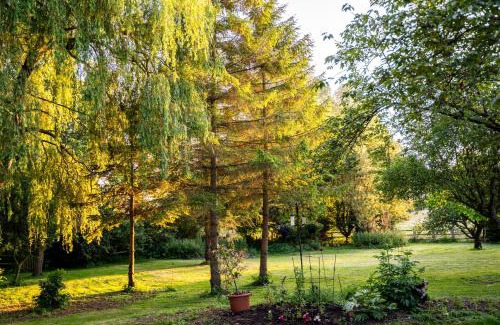 Harleston Hotel | The Dove Inn