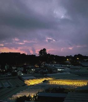 Phuong Hotel | The Elegant Dalat