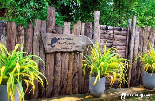 Udawalawa House | The Elephant Next-Door