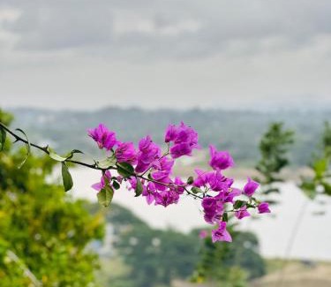 Wayikkal Villa | The Forest Inn Kandy