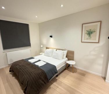 Sint-Gillis House | The Gallery Saint-Gilles