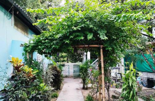 Sualkuchi House | The Golden Arc Cottage - One King Bed Non-AC Bed Room with private kitchen - kitchen uses 200 per night