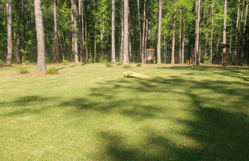 Auburn Cabin | The Griinch- Cozy Tiny House 9 Miles to AUBURN AL & Jordan Hare Stadium