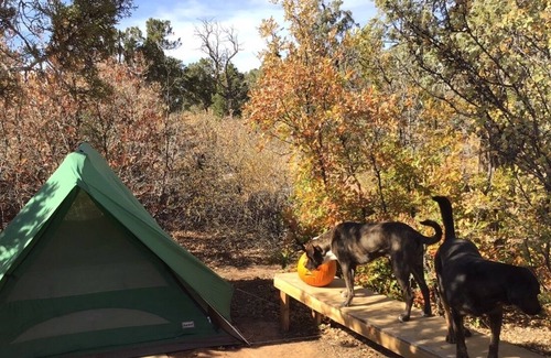 Blanding RV Rental | The Grove, Private tent 1