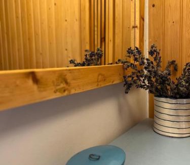 La Molina Ski Chalet | The guard of La Molina