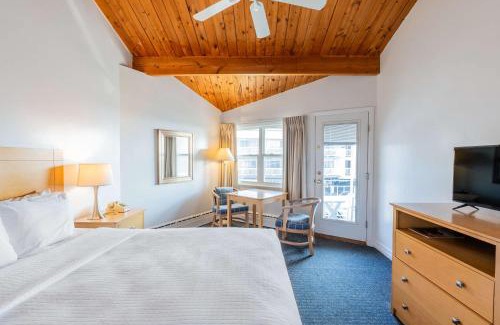 Old Orchard Beach Hotel | The Gull Oceanside Inn & Motel