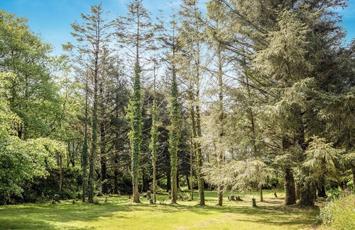 St Wenn Cabin | The Gypsy Hideaway: A cosy, blissful, peaceful escape