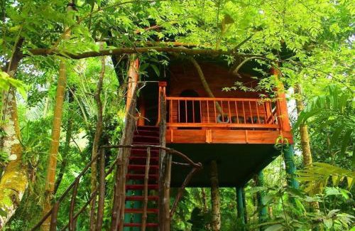 Ahangama Cabin | The Hidden Treehouse