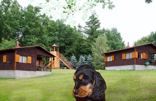 Zeliv Cabin | The Hideaway Ash Log Cabin at Trnavka lake, forest and mountains,pet friendly