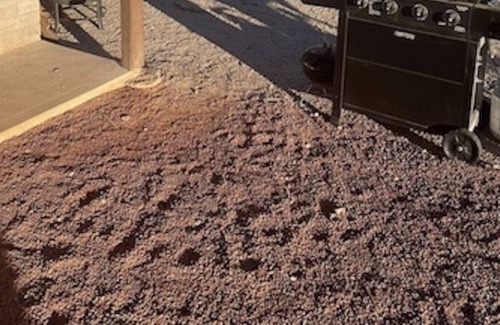 Meadview House | The Hideaway - Desert Glamping
