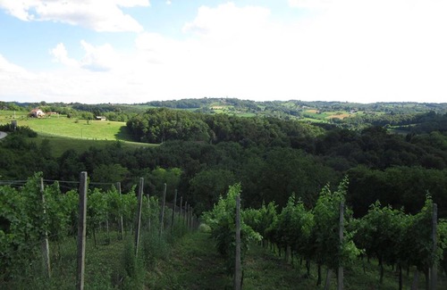 Grabrovnik House | The house with 3 bedrooms and a large terrace with a view of the wine hills