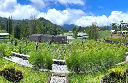 Songan House | The Iris Volcano