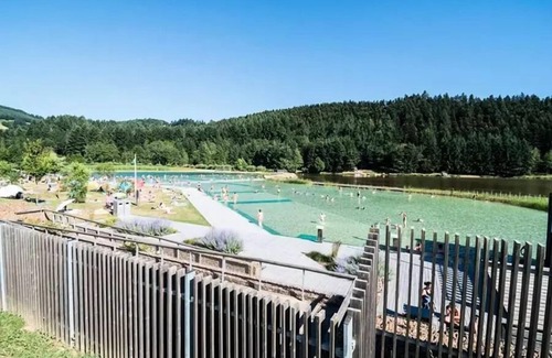 Cublize Ski Chalet | The Lac des Sapins * - Chalet 1 bedroom + mezzanine 4 people