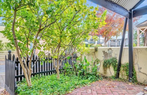 North Adelaide House | The Lemon Tree Charming Cottage in North Adelaide