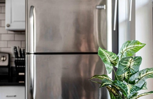 Historic Hyde Park North Apartment | The Lil' Hyde Out | Cute Hyde Park Apt