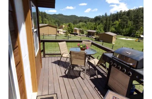 Keystone Cabin | The Little Pine