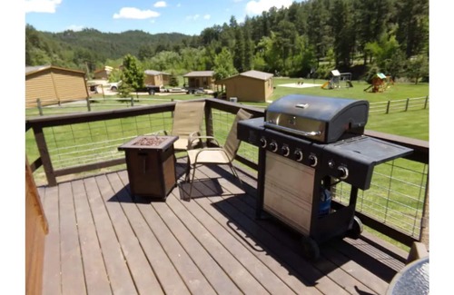 Keystone Cabin | The Little Pine