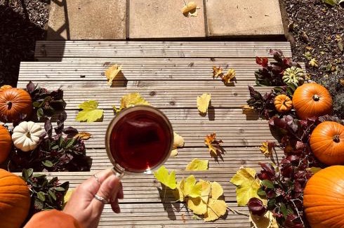 Moffat Ski Chalet | The little shepherds hut