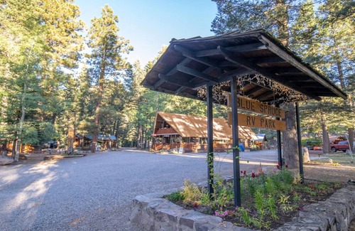 Bayfield Cabin | The Lupine Cabin #10