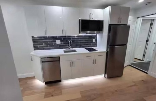 Mount Pleasant Apartment | The Mini-Lux A. at Lower Atwells