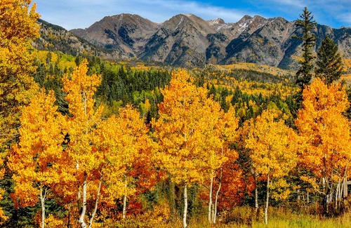 Purgatory Condo | The Mountain Views! Are Everything! Corner Unit! Indoor Heated Pool & Spa!