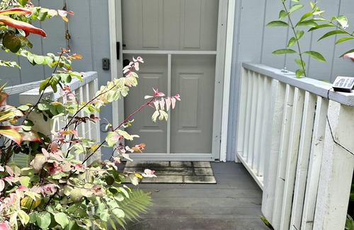 Hilo Cottage | The Ohana Cottage, your perfect Hilo Getaway!