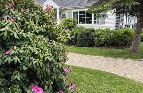 East Falmouth House | The perfect home for a family summer vacation! Minutes to beaches & bike path.