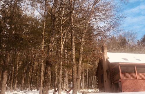 Pond Eddy Cabin | The Perfect Log Cabin on 8 acres of Private Woods