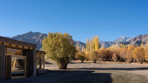She Hotel | The Postcard in The Himalayan Willows, Stok, Leh