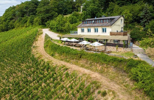 Mainz-Bingen Apartment | The Rebenhaus - with a sensational view of the Rhine Valley. Apartment for 2