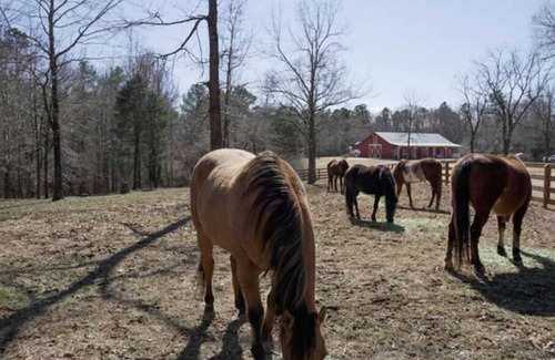 Oxford House | The Red Barn Luxurious