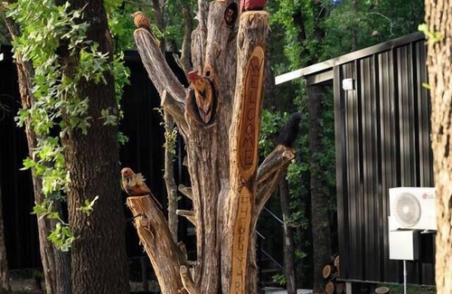 Alvord House | The Red Bird | Treehouse Stay + Pickleball Court