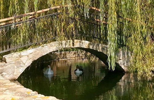Arbucies Cottage | the sound of the water reaches every corner, along with the song of the birds