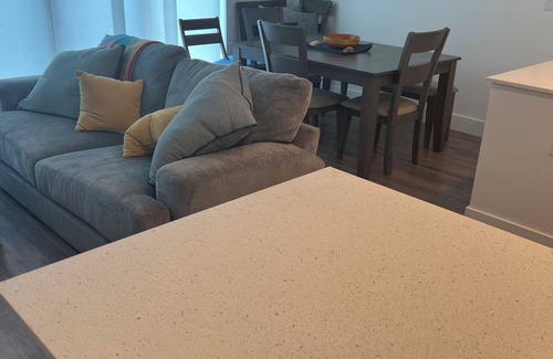 North Trail Condo | The Strand, New Luxury Downtown Sarasota Condo on the bay.