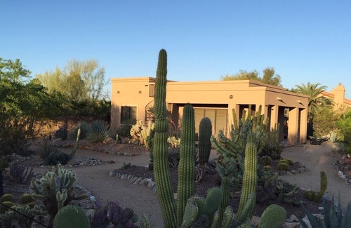 Cactus Acres House | The Sublime Desert Oasis