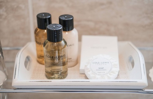 Arundel Hotel | The Swan Hotel