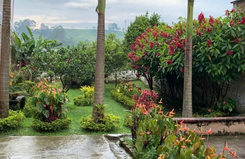 La Estrella Apartment | The Three-palm house