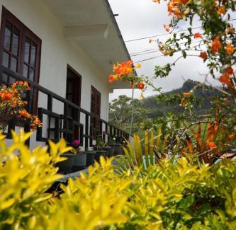 Nuwara Eliya Bed & Breakfast | The Train View