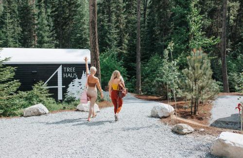 Lakeside House | The Tree Haus A Montana Tiny Cabin Forest Retreat