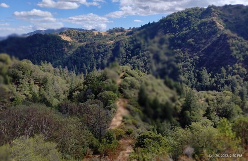 Cazadero Cabin | "The Treehouse" Cabin on 275 acres with Private Hiking Trails, Wineries nearby.