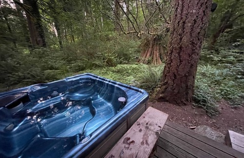 North Bend Cabin | The Treehouse; cabin in the woods, close to town!