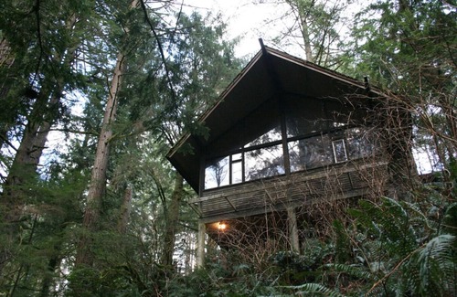 North Bend Cabin | The Treehouse + Writer's Cabin