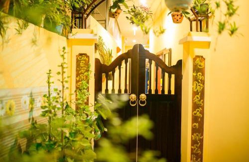 Cam Pho House | THE VIEW HOMESTAY HỘI AN