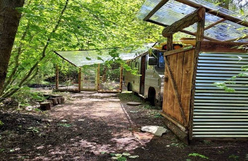 Belfair House | The Wanderbus in Elfendahl forest.