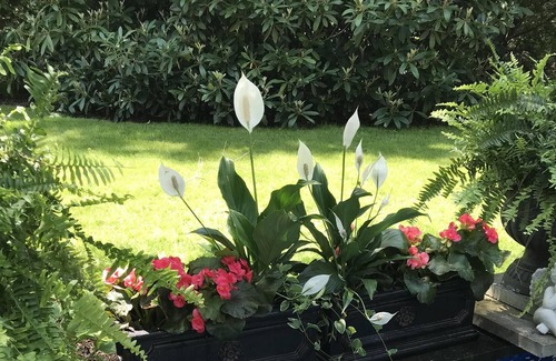 Wianno House | The Wianno Guest House, Osterville ~weekends only~