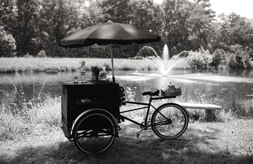 Willis Other | The Wildflower Ranch is where Dream Weddings come to life!