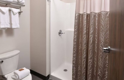 Broken Arrow Hotel | Theme Suite w/Whirlpool, Stoney Creek, Living Area w/Fireplace!