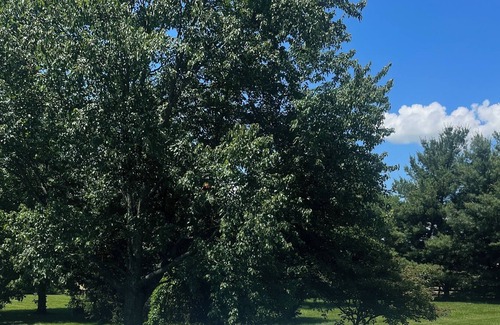 Lexington House | This house is a 5 bedroom(s), 5.5 bathrooms, located in Lexington, KY.