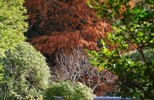 Kyotanabe House | This is tea and retreat luxury vacation rent villa in southern part of kyoto.